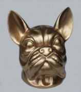 Franse bulldog goud 800